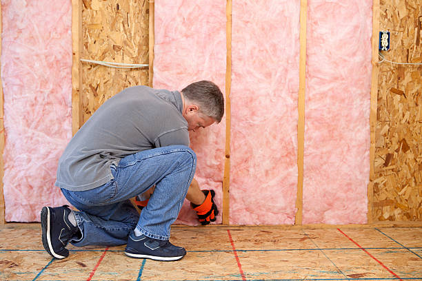 Types of Insulation We Offer in Columbia, CA